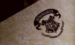 Featured image of post Cursor: Are the vibes really worth it?